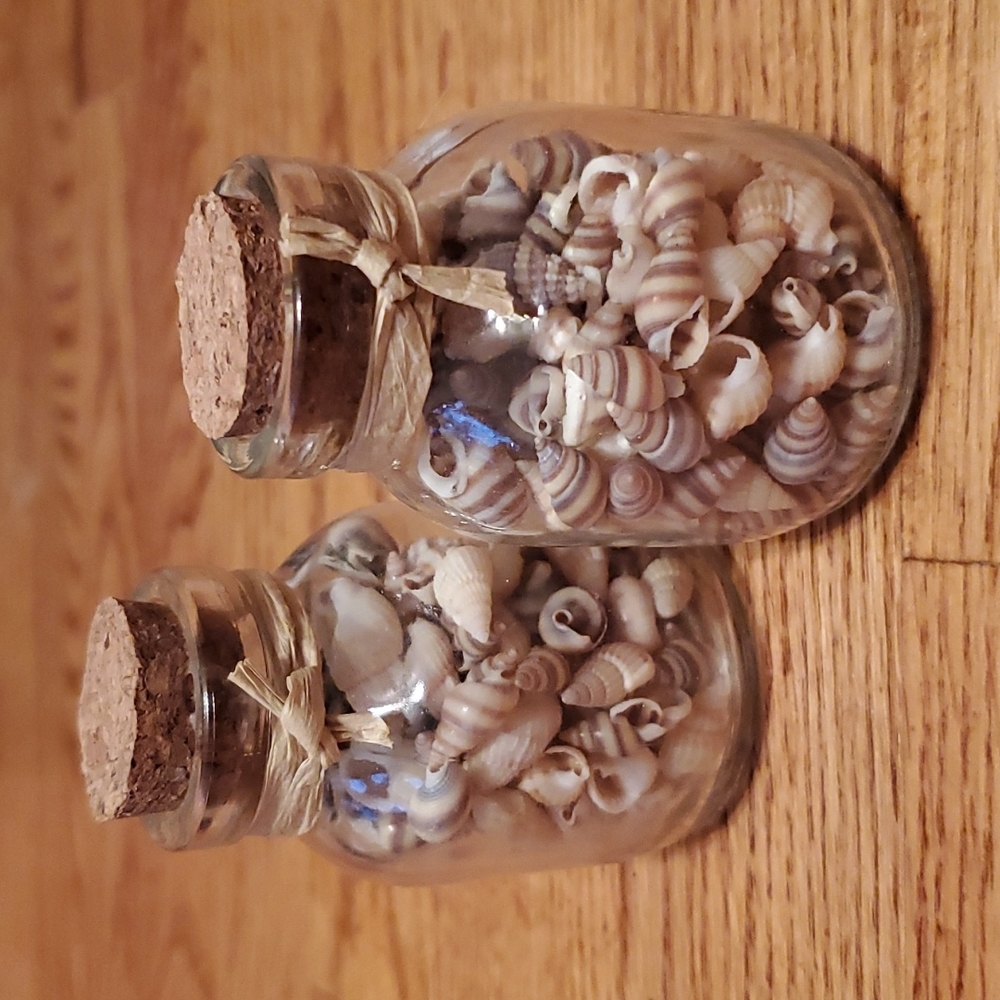 2 Jars of mini shells 🐚